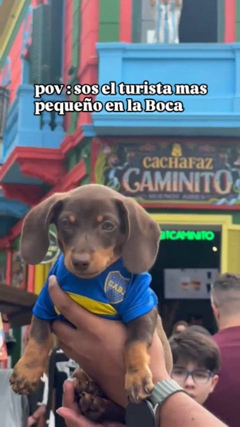Coquito at La Boca, dressed in Boca Juniors gear