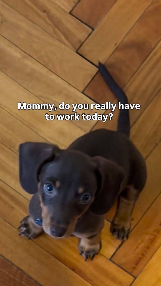 Waiting all day for mom to come home from work